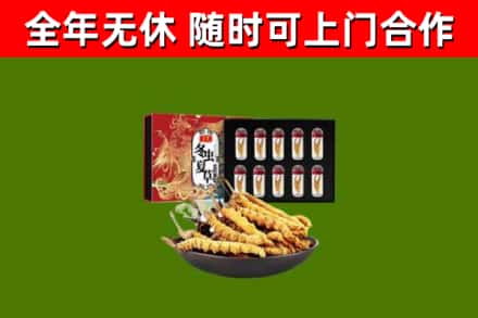 内丘回收冬虫夏草价格